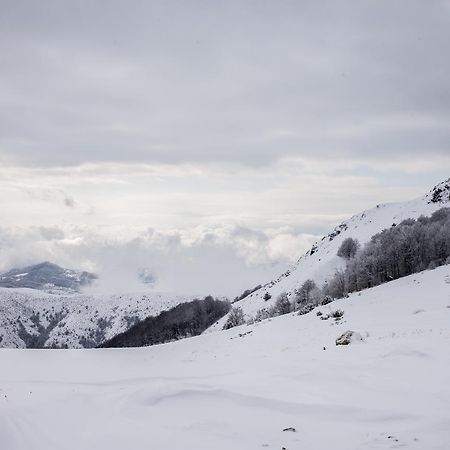 Holiday Home Floris Kopaonik Luaran gambar
