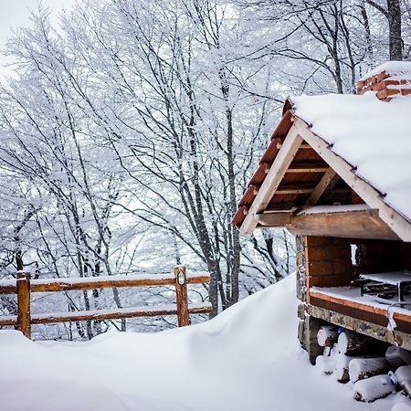 Holiday Home Floris Kopaonik Luaran gambar